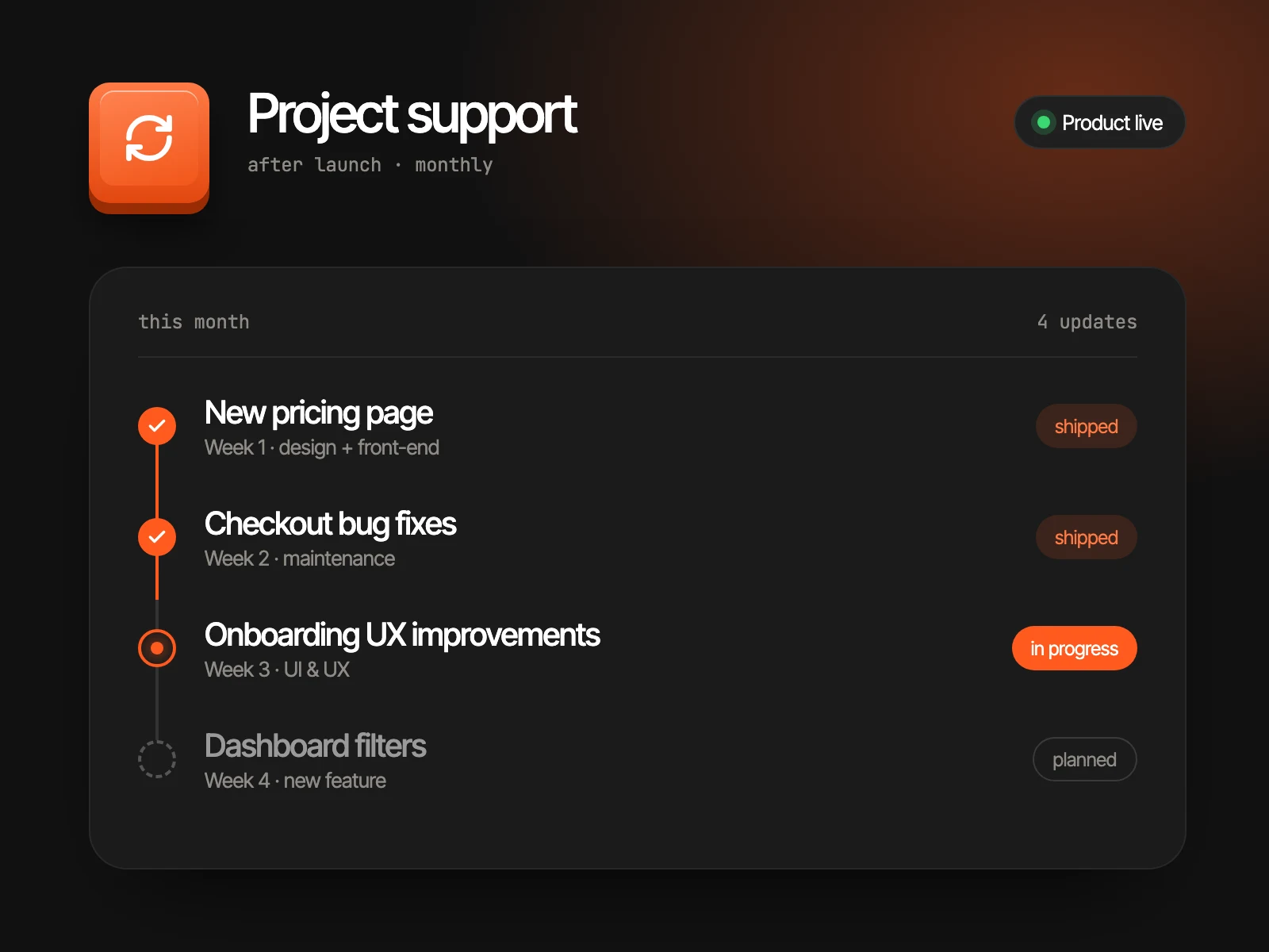 Project support — monthly updates after launch